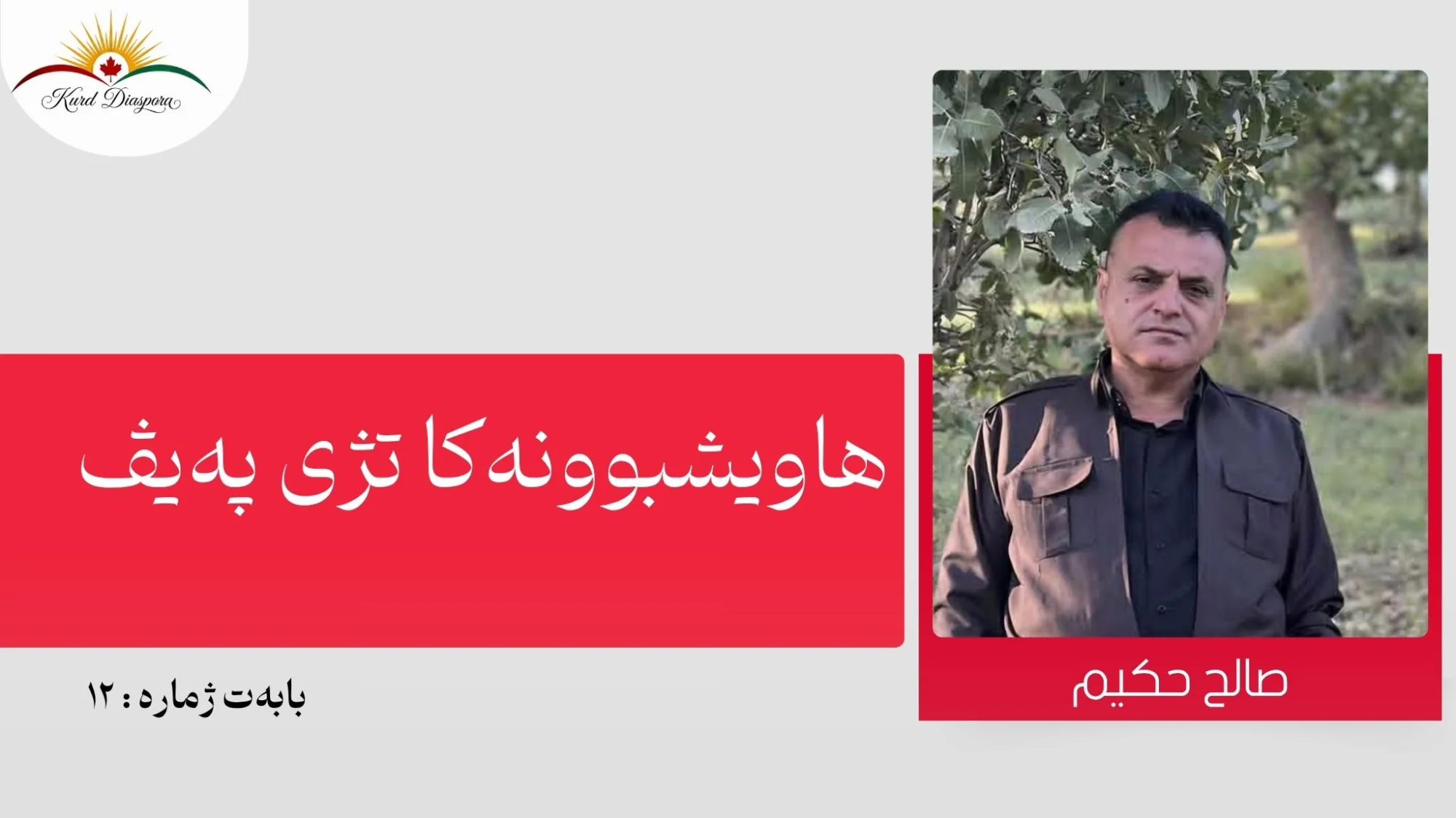 هاویشبوونەکا تژی پەیڤ