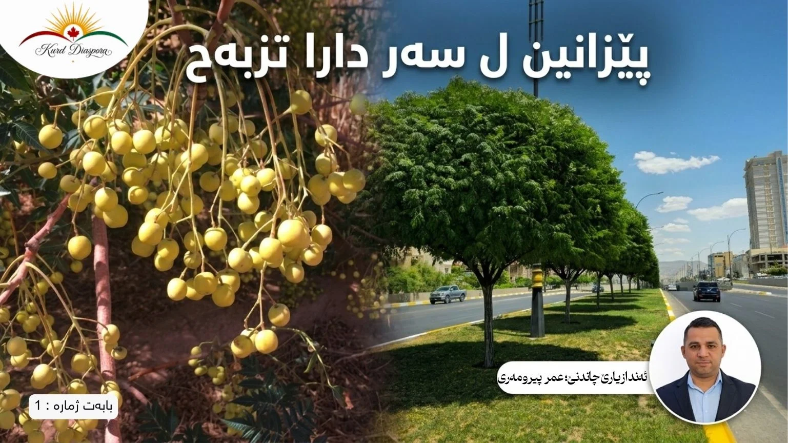 پێزانین ل سەر دارا تزبەح